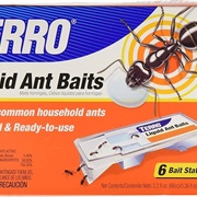 Ant Traps