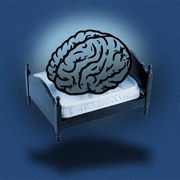 Experienced Insomnia