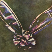Tartan Ribbon (James Clerk Maxwell)