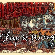 Sleepytime Gorilla Museum - Sleep Is Wrong