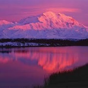 Denali National Park, Alaska