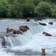 Brooks Camp, Katmai