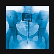 Favorite Daughter— Lorde