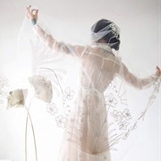 Pen-And-Ink Style Decoration on Veil