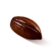 Fruit De Cacao Lindt Truffle
