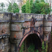 Why Do Dogs Jump From Overtoun Bridge?