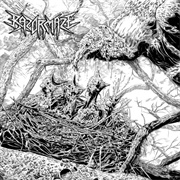 Razormaze - Spawnsong