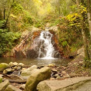 Montseny Biosphere Reserve, Spain