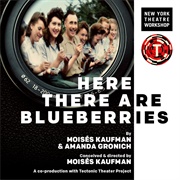 Here There Are Blueberries