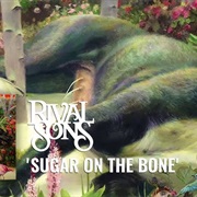 Rival Sons - Sugar on the Bone