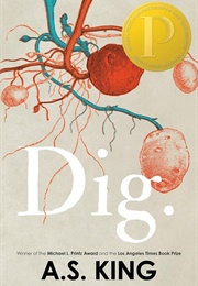 Dig (A. S. King)