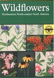 Wildflowers (Peterson Field Guides)