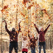 Have a Fall Photoshoot