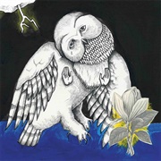 Songs: Ohia - The Magnolia Electric Co