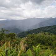 Crocker Range Biosphere Reserve, Sabah, Malaysia