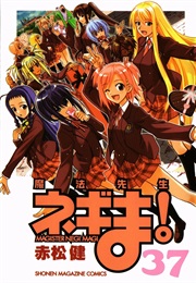 Negima! Magister Negi Magi, Vol. 37 (Ken Akamatsu)