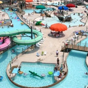 Jungle Jim's (Delaware)