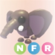 ･､ ᵇᵘˢʰ ᵉˡᵉᵖʰᵃⁿᵗ