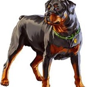 Chop (Grand Theft Auto V)