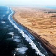 Mar Chiquita Biosphere Reserve, Argentina