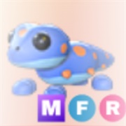 ･､ ᵍᵉᶜᵏᵒ