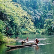 Basse-Lobaye Biosphere Reserve, Central African Republic