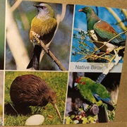 Wellington, New Zealand