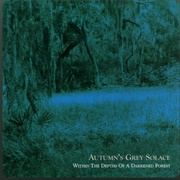 Within the Depths of a Darkened Forest