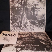 W.A.I.L. - Wisdom Through Agony Into Illumination and Lunacy