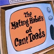 Rocko's Modern Life: "Leap Frogs/Bedfellows" (S1,E2)