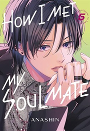 How I Met My Soulmate Vol. 5 (Anashin)
