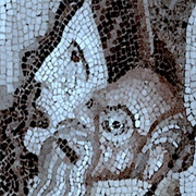 Caterpillar (Of the Commonwealth) - Will Connolly