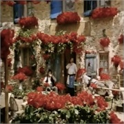 Stella Artois: "Flowers"