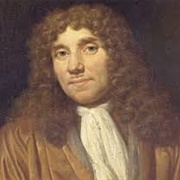 Antoni Van Leeuwenhoek