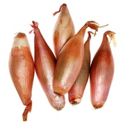 Echalion Shallots