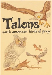 Talons: North American Birds of Prey (Millie Miller)