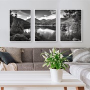 Black and White Nature Photos