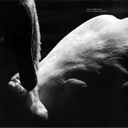 Petre Inspirescu - Intr-O Seara Organica…