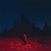 Phoebe Bridgers - Punisher