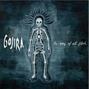 Gojira - A Sight to Behold