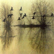 Dusk - ...Majestic Thou in Ruin (1995)