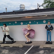 Polk-A-Dot Drive In, Braidwood, IL
