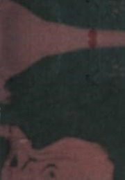 The Homeric Hymn to Demeter: Text, Commentary and Selected Essays (HP Foley)