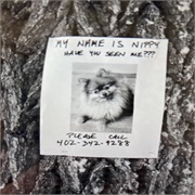 Better Call Saul: "Nippy" (S6,E10)