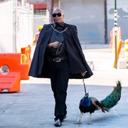 Tituss Burgess as Titus Andromedon, "Unbreakable Kimmy Schmidt"