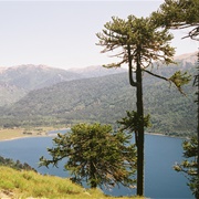 Andino Norpatagónica Biosphere Reserve, Argentina