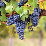 Avornalino Grapes