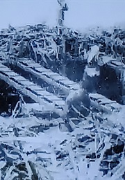 Loading Sugar Cane (1901)