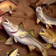 S18.E7: Fish Replicas/Siren Systems/Pre-Packaged Sandwiches/Candlesticks