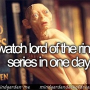 Watch the Lord of the Rings Series in One Day